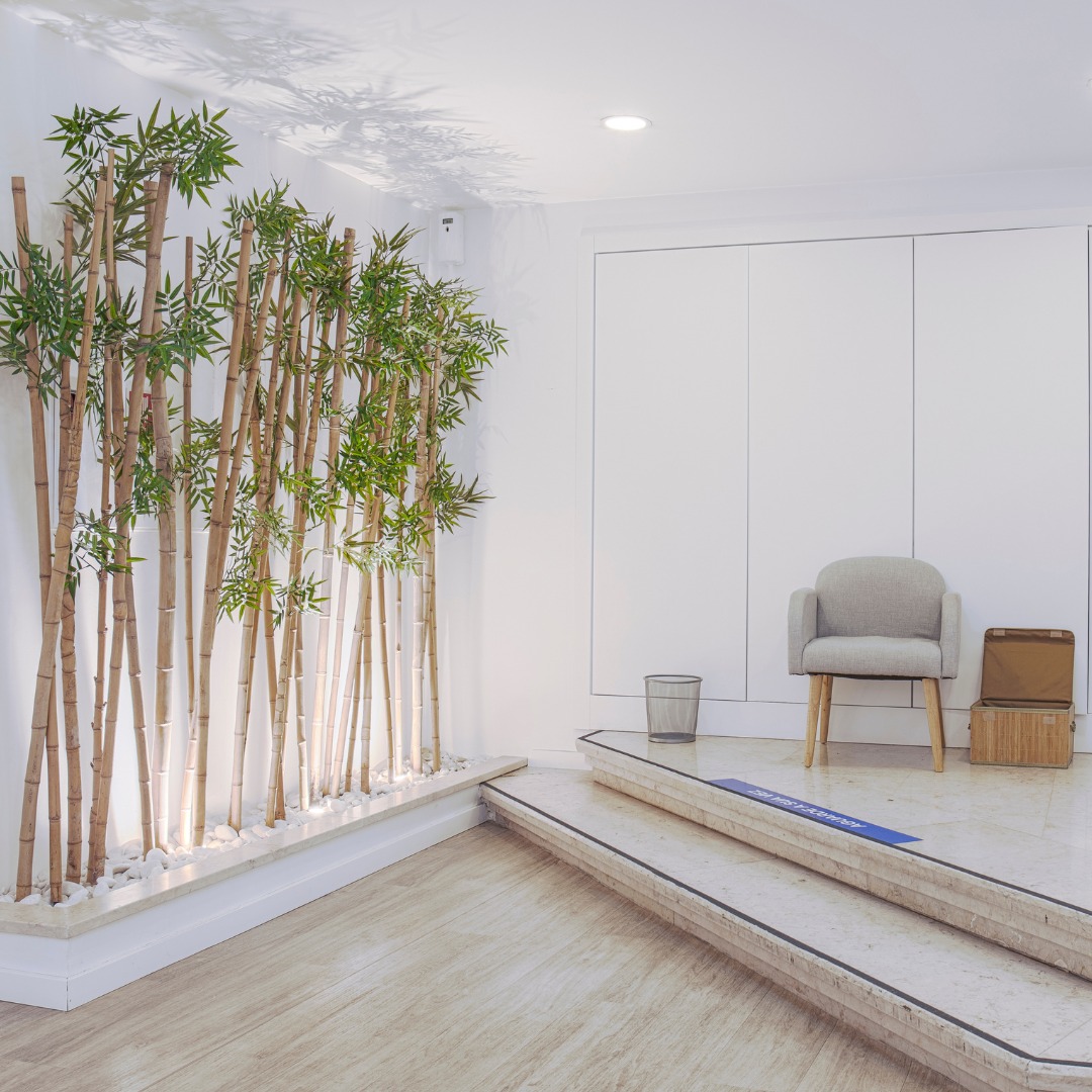 490472163_1213643590542242_5063727614678546388_n